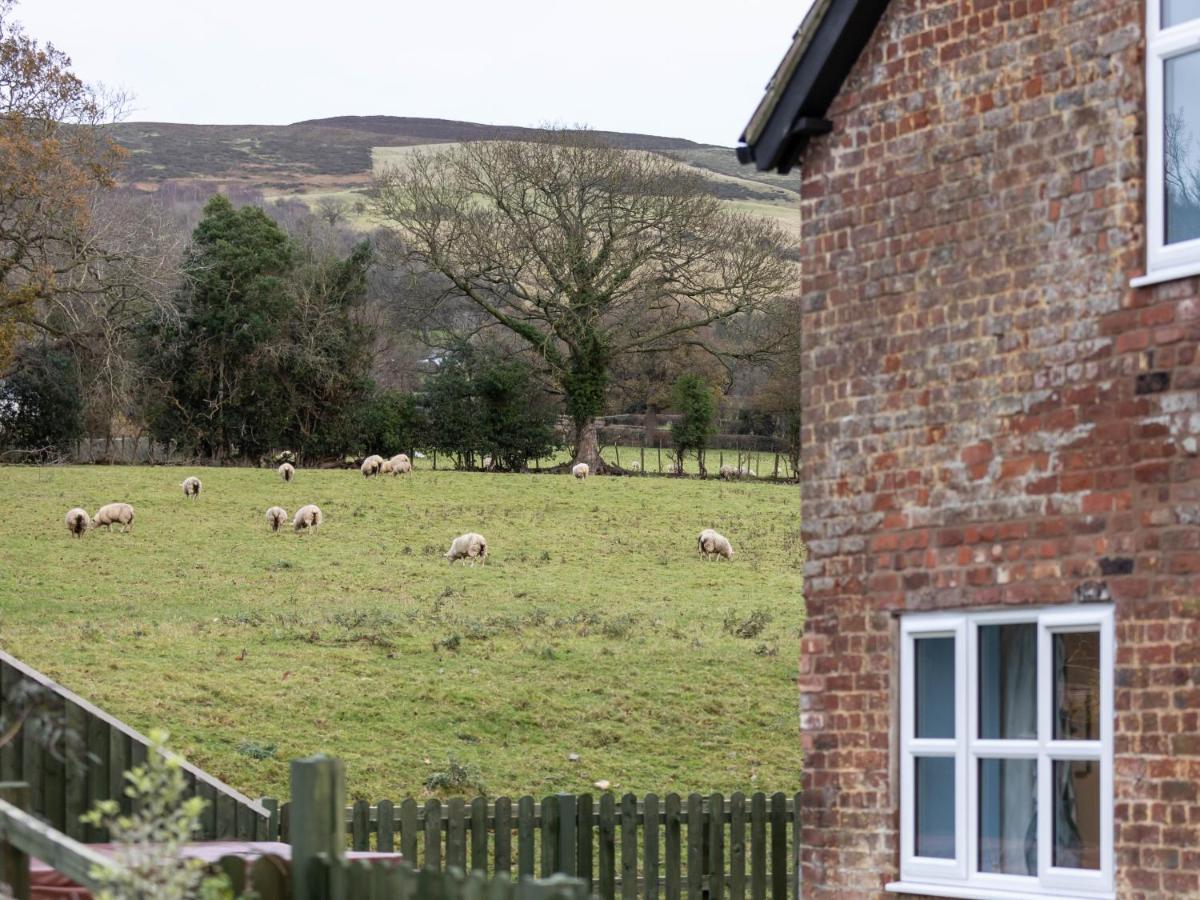 Caer Fedwen Barns Clwyd Cottage Two Bed, Barn Conversion With Private Hot Tub Bodfari Eksteriør billede